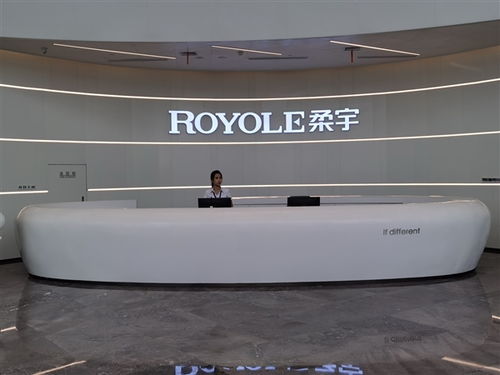 曾發布全球首款可折疊手機 柔宇科技被曝已6個月發不出工資